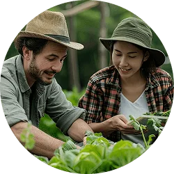 革新 开云围绕kaiyun不断创新，回应用户的真实需求。 - 开云