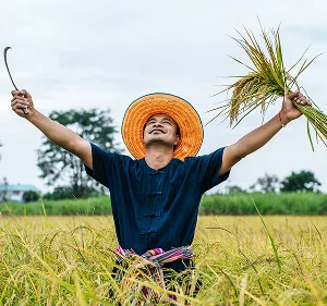 Agri-Tech and Innovation  Updates - 开云