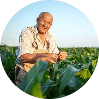 Revolutionizing the Way  Food is Grown - 开云