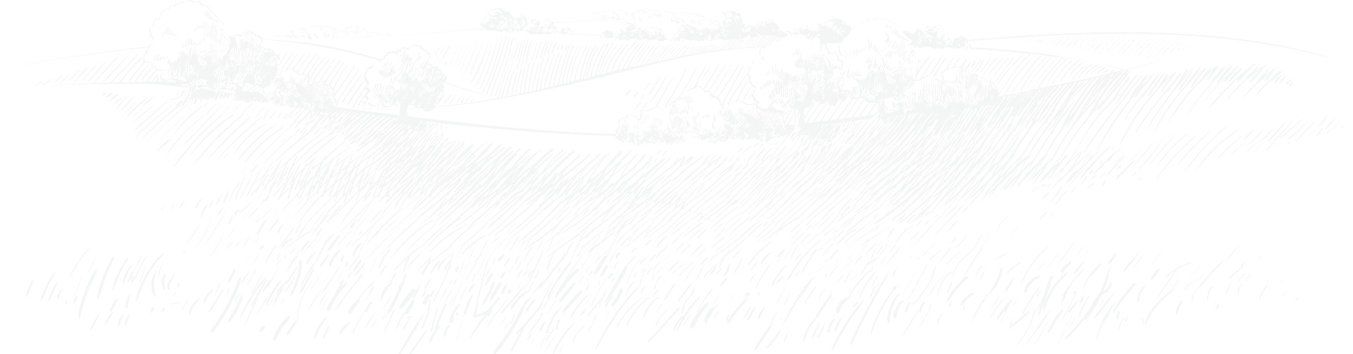 Revolutionizing the Way  Food is Grown - 开云